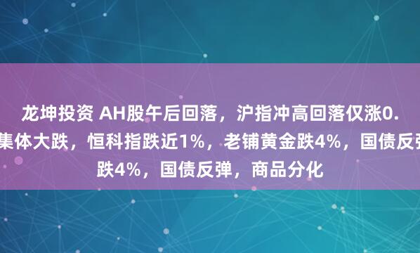 龙坤投资 AH股午后回落，沪指冲高回落仅涨0.1%，高位股集体大跌，恒科指跌近1%，老铺黄金跌4%，国债反弹，商品分化