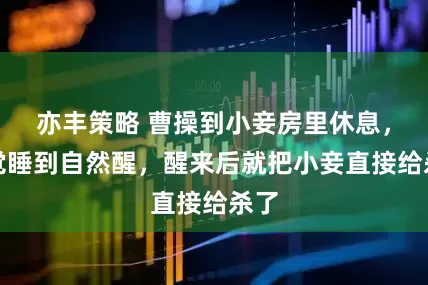 亦丰策略 曹操到小妾房里休息，一觉睡到自然醒，醒来后就把小妾直接给杀了