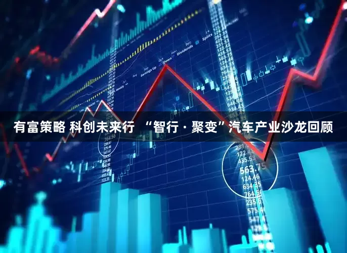 有富策略 科创未来行  “智行 · 聚变”汽车产业沙龙回顾